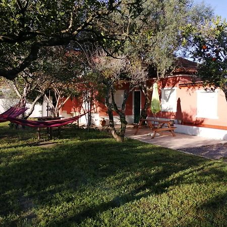 Casa Das Laranjeiras E Parque Infantil Azeitao Exterior photo