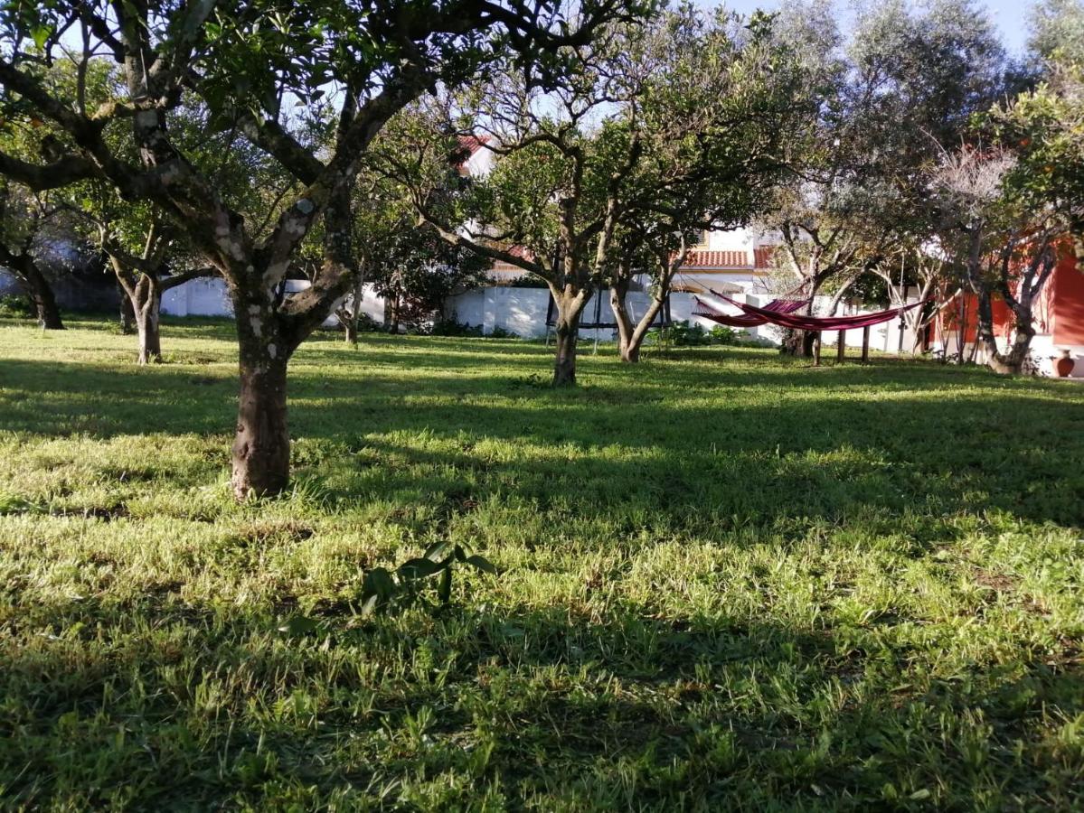 Casa Das Laranjeiras E Parque Infantil Azeitao Exterior photo